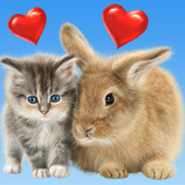 Cat and Bunny. Cute Wallpaper. icon