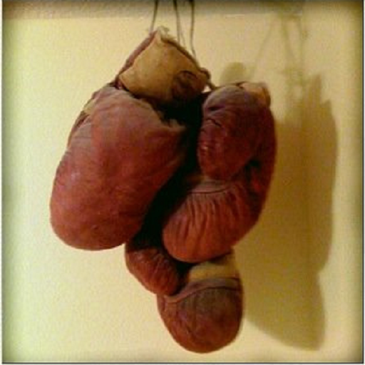 Boxing News and Videos icon