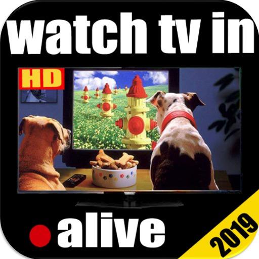Watch TV For Free On My Cell Phone Guide Programs icon