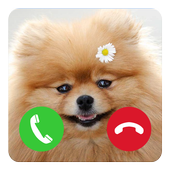 Dog Fake Call Joke icon