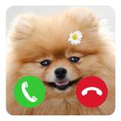 Dog Fake Call Joke on 9Apps