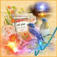 صور صباح ومساء الخير GIF-FIX  2019 (متجدد) on 9Apps