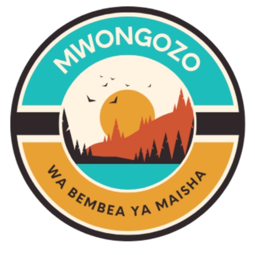 Mwongozo wa Bembea ya Maisha icon