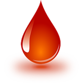 Blood Finder icon