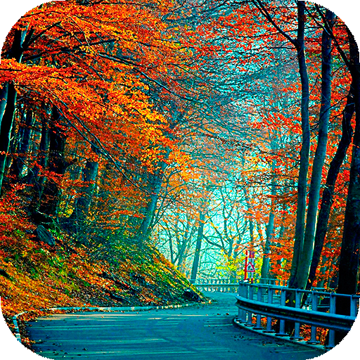 Autumn Live Wallpaper : backgrounds hd icon