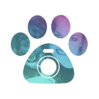 Petcam - Pet Camera on 9Apps