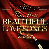 Beatifull Love Song icon