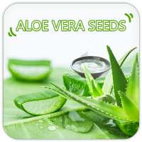 Aloevera Seeds on 9Apps