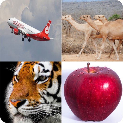 Guess the Picture icon