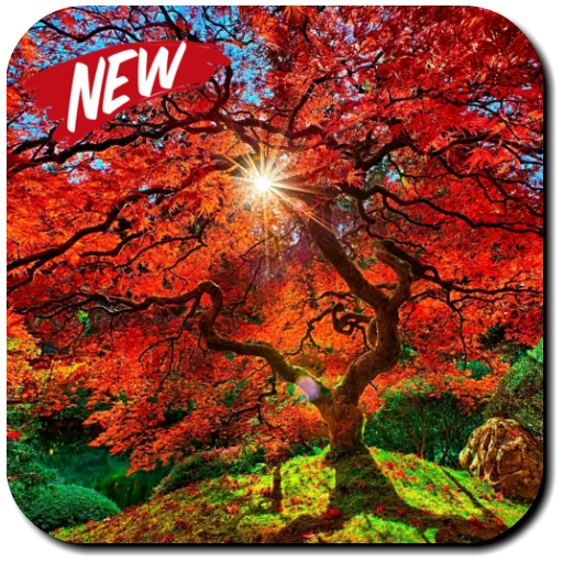 Fall Wallpaper &amp; Screensaver icon