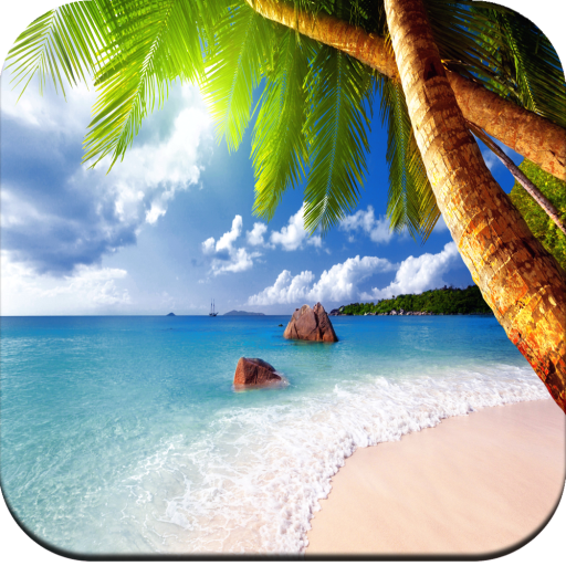 Paradise wallpaper icon