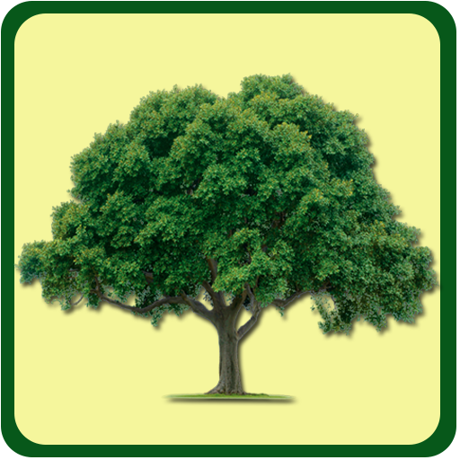 Life and Living icon