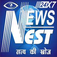 News Nest Official