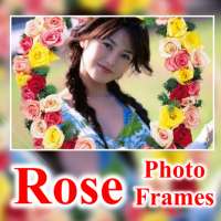 Beautiful Rose Flower Photo Frames Greeting Cards