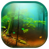 Forest 3D Live Wallpapers icon