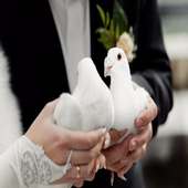 أدعية تعجيل الزواج on 9Apps