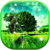 Nature live wallpaper on 9Apps