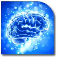 Memory Techniques Guide on 9Apps