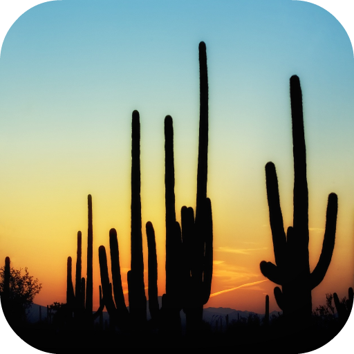 🌵 Cactus Wallpapers icon