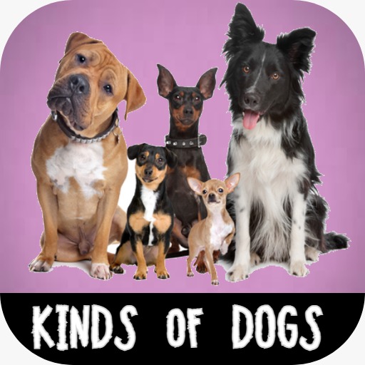 Kinds of Dogs icon
