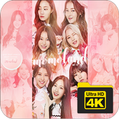 Momoland Wallpapers HD icon