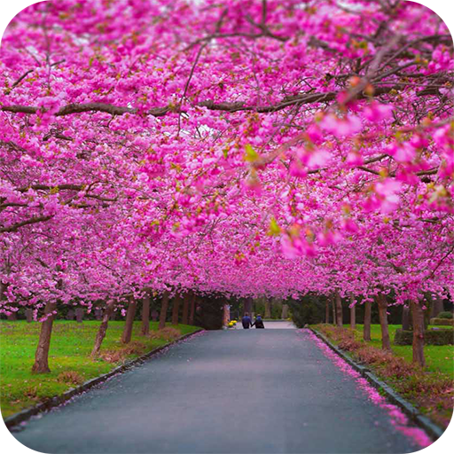 Spring Scenery Wallpaper icon