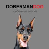 Doberman Dog Sounds and Barks icon