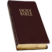 Daily Bible Scriptures icon