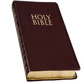 Daily Bible Scriptures