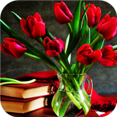 Tulip.Flowers wallpaper icon