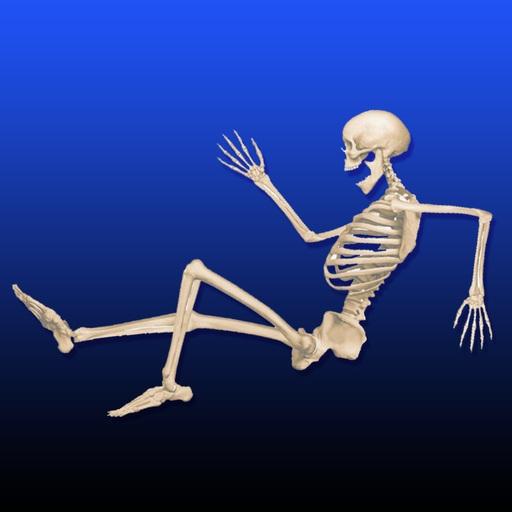 Skeletal System icon