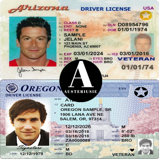Driver's license icon