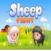 Sheep Fight