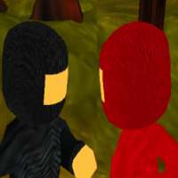 Ninja Fight