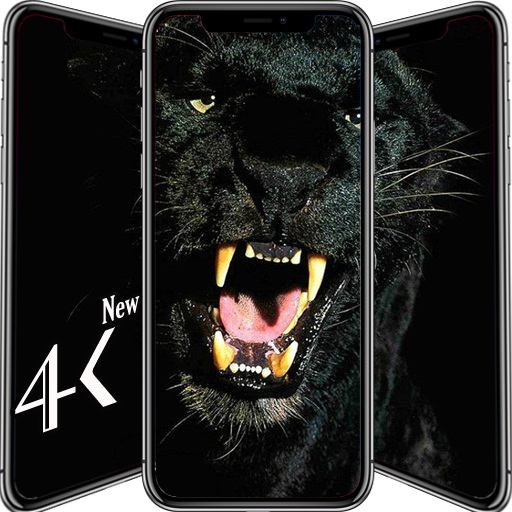 Black Animals Wallpaper icon