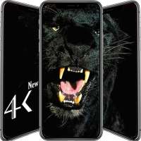 Black Animals Wallpaper on 9Apps