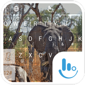 The Elephant иконка