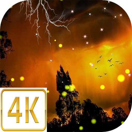 Day Night Live wallpaper 4K - Sensor, Multi Touch icon