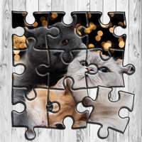 Cat Jigsaw Puzzle