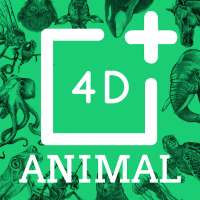 Animal 4D 