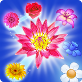 BLOSSOM CRUSH MATCH 3 icon