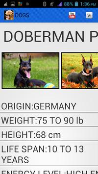 Dog Breeds 3 تصوير الشاشة