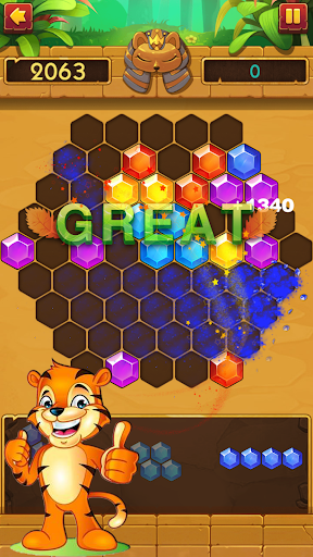 Block Jewel : Game Puzzle screenshot 4