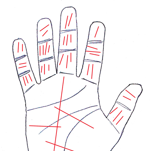 Hastrekha Jyotish أيقونة