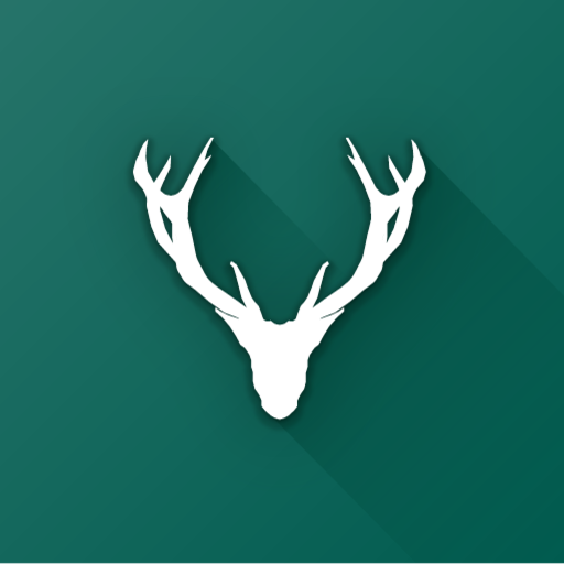 Wallela - A Wallpaper App icon