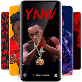 MeIIy Wallpaper + Photos Gallery icon