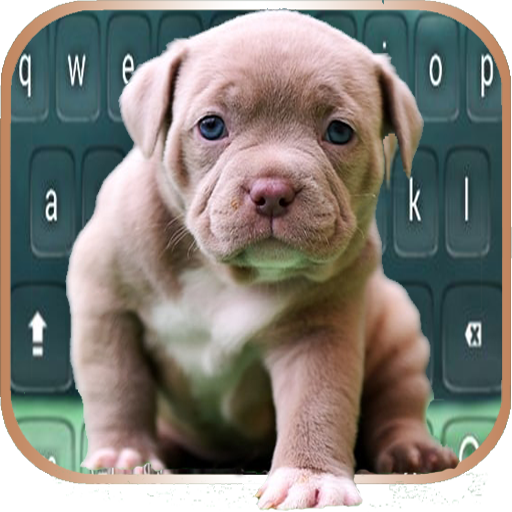 Cute Little Pitbull keyboard icon