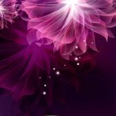 Moto Maxx HD Wallpapers icon