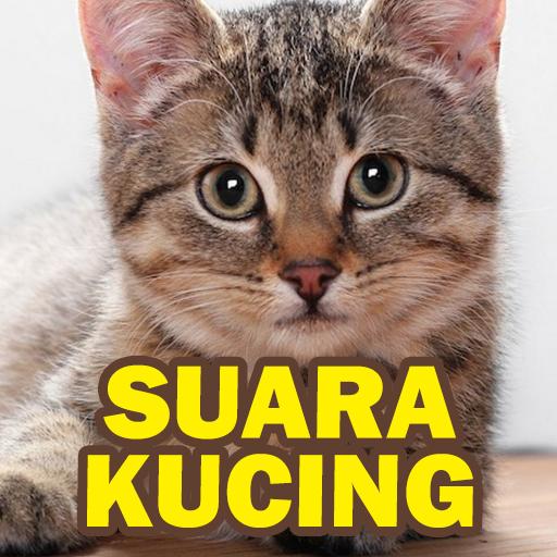 Suara Kucing : Cat Sounds icon
