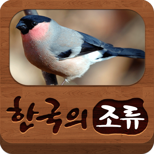 한국의 조류(Birds of Korea) icon